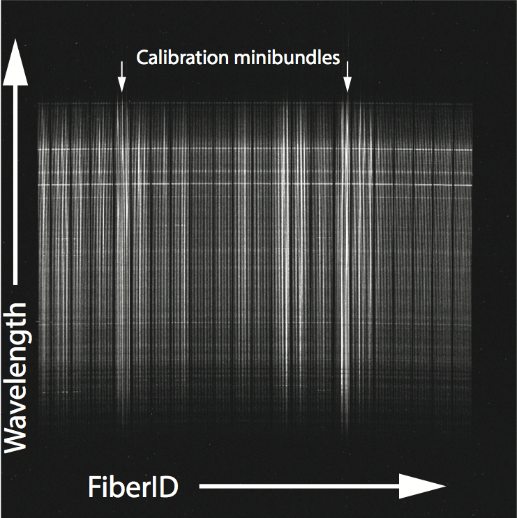 MaNGA raw science data for a single blue camera.  Figure is from <a href="http://adsabs.harvard.edu/abs/2016AJ....152...83L">Law et al. (2016)</a>.