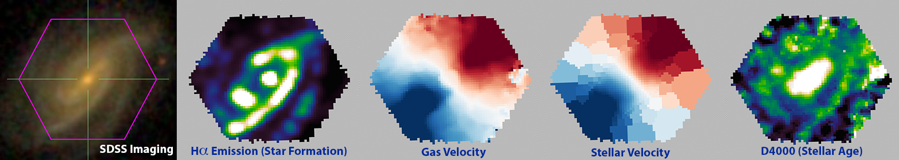  Example of a galaxy observed with MaNGA (11835-12705), showing from left to right: Hα emission line map, galactic gas velocity field, stellar velocity field, strength of the 4000 Angstrom spectral break.
