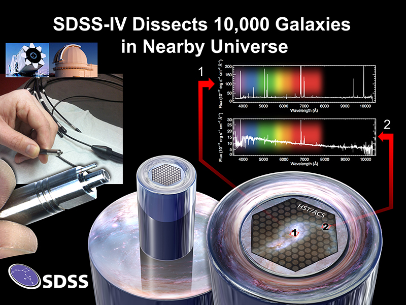 SDSS optical fibers observe spectra from two different parts of a single spiral galaxy