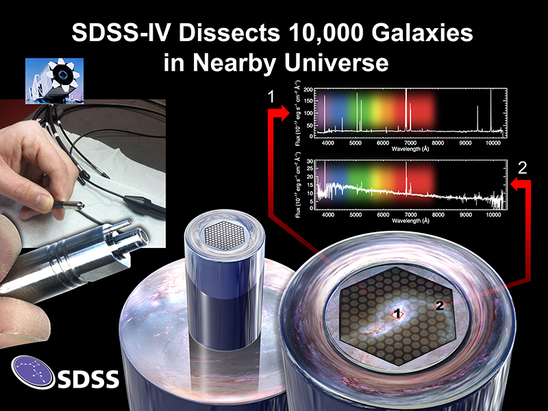 The SDSS MaNGA survey obtains spectra across the entire face of target galaxies using custom designed fiber bundles. The title text in the top-center of the image reads 'SDSS-IV Dissects 10,000 Galaxies in Nearby Universe'. In the top left corner is a small inset image of the SDSS 2.5m telescope at Apache Point Observatory, where the MaNGA data was taken. The center-left shows an image of a pair of hands plugging an optical fiber into the MaNGA instrument. The SDSS-IV logo is in the bottom-left. A close-up photo of the MaNGA instrument is shown in the center and bottom-right area of the image, demonstrating that each MaNGA data cube is made from dozens of optical fibers arranged in a hexagon shape, which each take a spectrum at a different location in the galaxy. The top-right inset shows two example spectra from MaNGA, one taken from the center of the fiber bundle (labeled 1) and one taken from the edge of the fiber bundle (labeled 2), showing how the spectrum of the central regions differs dramatically from outer regions. Image Credit: Dana Berry / SkyWorks Digital Inc., David Law, and the SDSS collaboration.