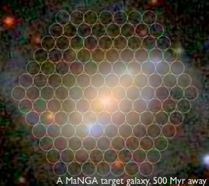 A MaNGA target galaxy, 500 Myr away.  The circles represent individual fibers in a bundle