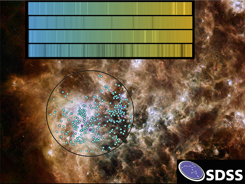 
APOGEE observations of stars <a href="https://www.sdss4.org/press-releases/seeing-the-whole-galaxy-with-a-second-eye-on-the-sky/">in the Tarantula nebula in the Large Magellanic Cloud</a> are an example of how APOGEE observations are able to probe the dusty regions where stars are forming. Image Credit: SDSS;  Tarantula Nebula image from Herschel/Spitzer
