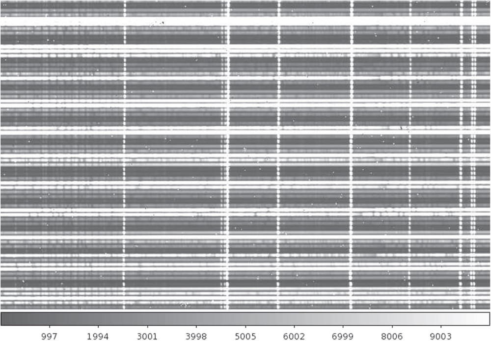 
A portion of an APOGEE-N 2D image obtained for a Bulge field in APOGEE-1. Each horizontal stripe corresponds to an individual object and the vertical stripes correspond to airglow features from the Earth's atmosphere that are at the same wavelength. The dark features in individual objects correspond to either atmospheric features (if they are at the same wavelength) or stellar absorption features (if they are shifted spectrum to spectrum). Objects are ordered on the chip by brightness (faint−medium−bright−bright−medium−faint) such that a bright source does not contaminate a faint source. <i> Image from <a href="https://iopscience.iop.org/article/10.3847/1538-3881/aa784d">Majewski et al. 2017</a>, their <a href="http://www.astroexplorer.org/details/ajaa784df14">figure 14</a>. </i>
